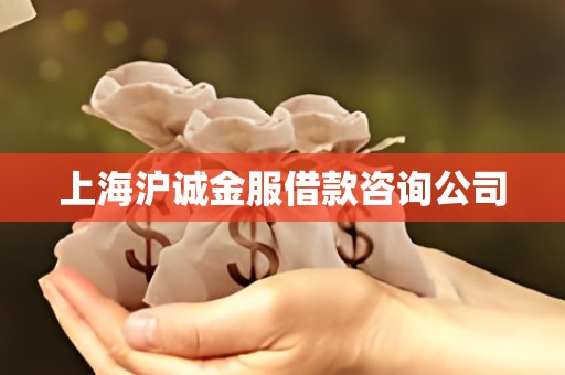 上海沪诚金服借款咨询公司
