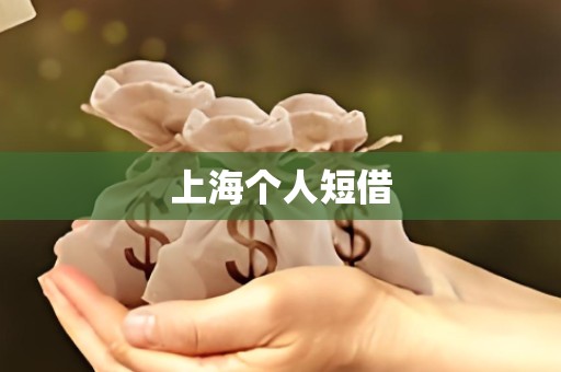 上海个人短借